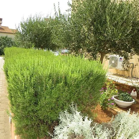 Apartament Mario Cres